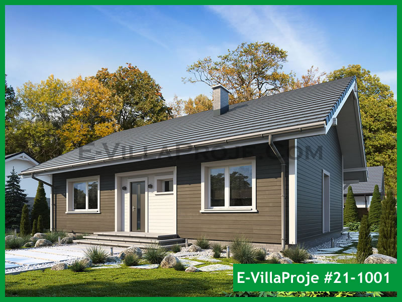 Ev Villa Proje #21 - 1001 Ana Görseli