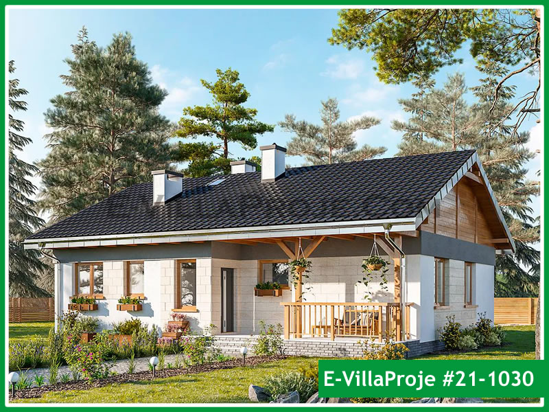 Ev Villa Proje #21 - 1030 Ana Görseli