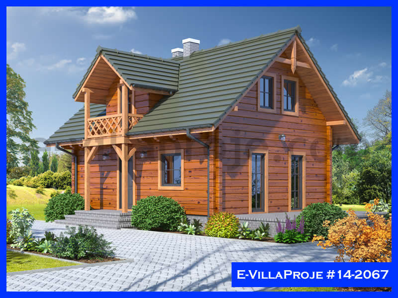Ev Villa Proje #14 - 2067 Ana Görseli