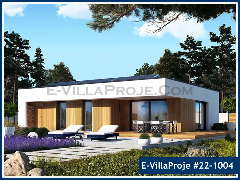 Ev Villa Proje #22 - 1004 Thumbnail 3