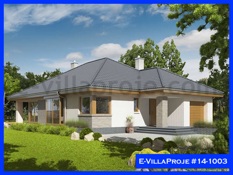 Ev Villa Proje #14 - 1003 Ana Görseli