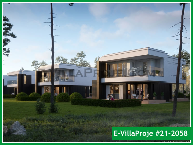 Ev Villa Proje #21 - 2058 Ana Görseli