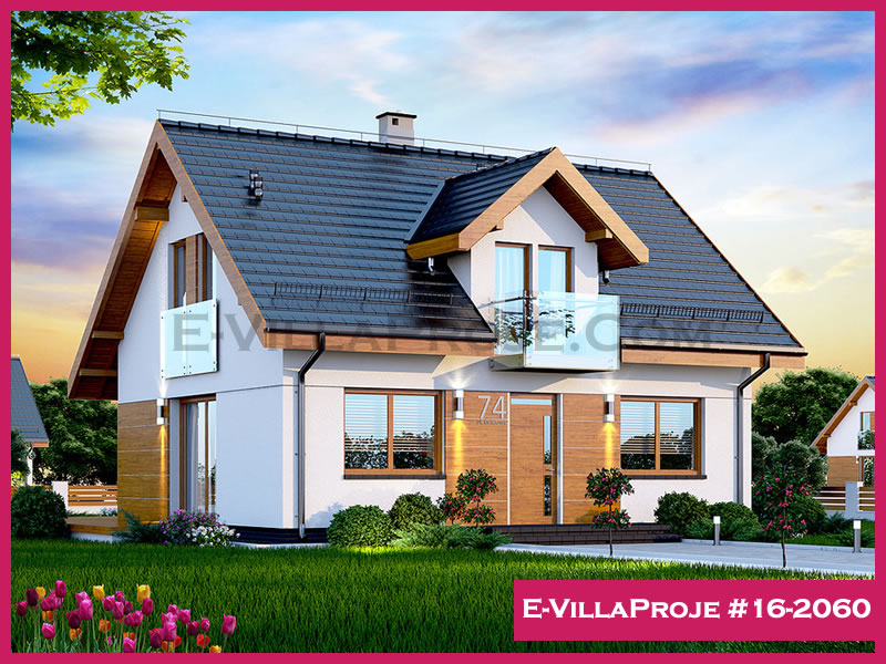 Ev Villa Proje #16 - 2060 Ana Görseli