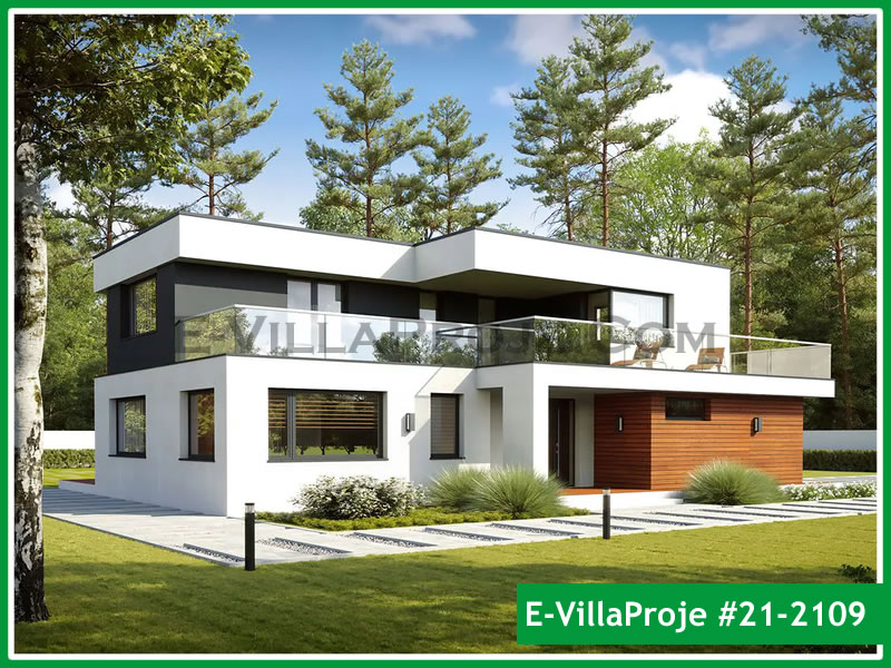 Ev Villa Proje #21 - 2109 Ana Görseli
