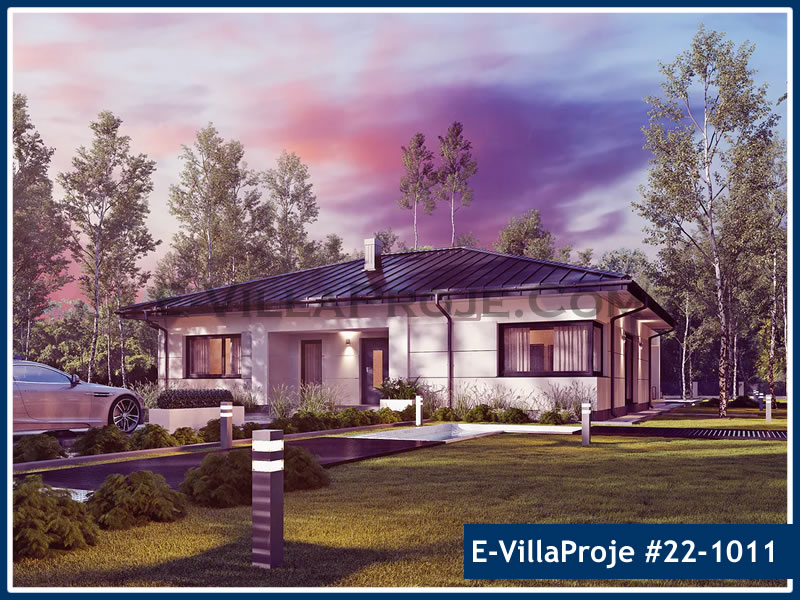 Ev Villa Proje #22 - 1011 Ana Görseli