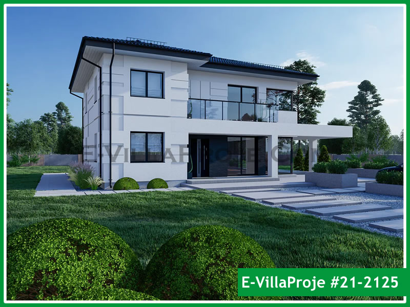 Ev Villa Proje #21 - 2125 Ana Görseli