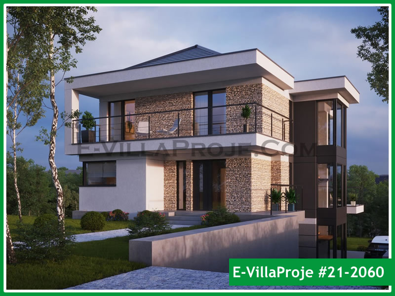 Ev Villa Proje #21 - 2060 Ana Görseli