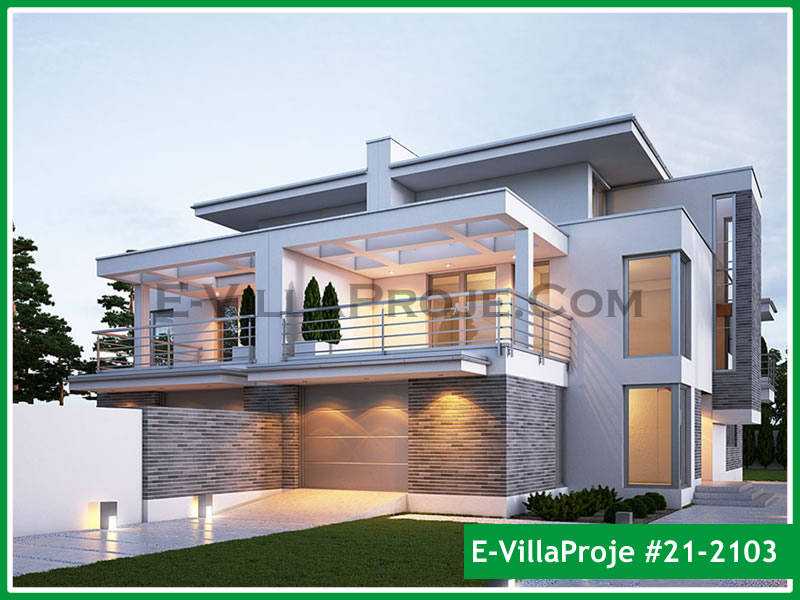 Ev Villa Proje #21 - 2103 Ana Görseli