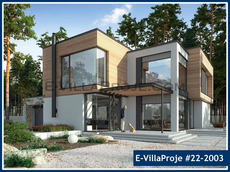 Ev Villa Proje #22 - 2003