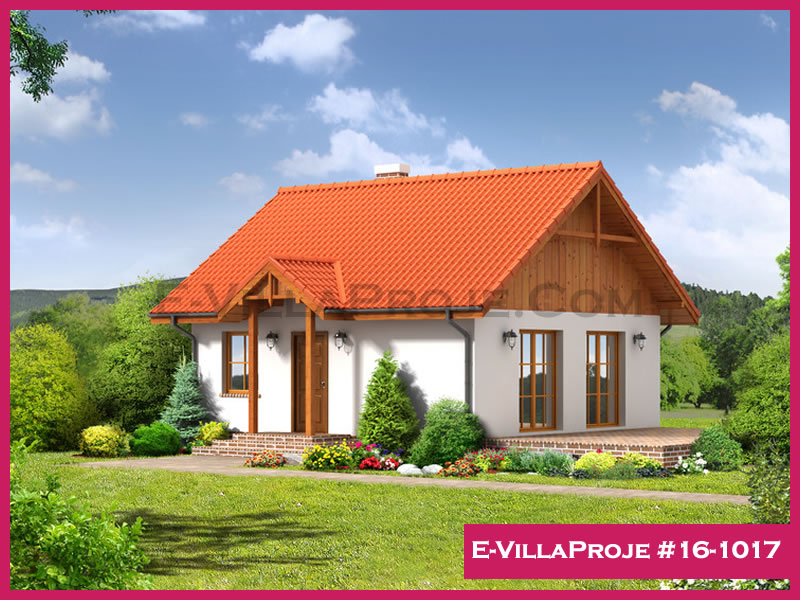 Ev Villa Proje #16 - 1017 Ana Görseli
